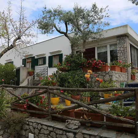 Oda ve Kahvaltı Casanoe