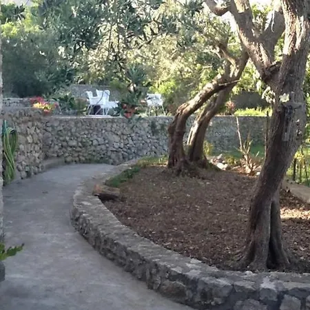 Oda ve Kahvaltı Casanoe